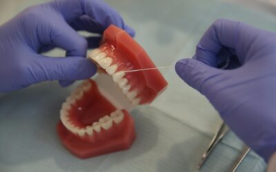 Services Provided by Dental Labs
